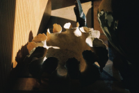 http://www.virguleflottante.com/files/gimgs/th-19_Image 29.png
